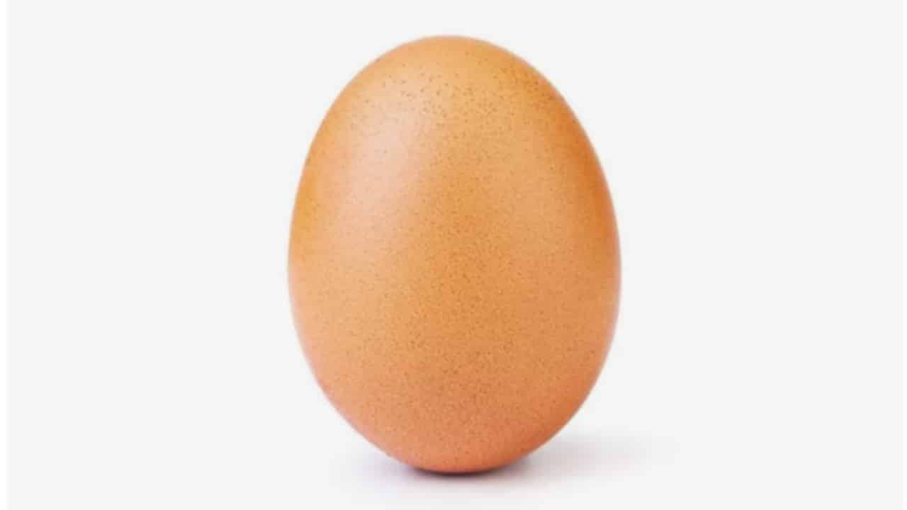 The Instagram Viral Egg